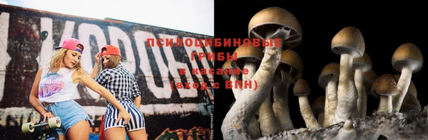 ALPHA-PVP Белокуриха